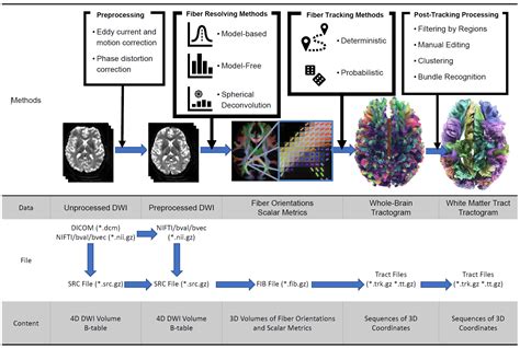 Diffusion Models And Metrics Practicum