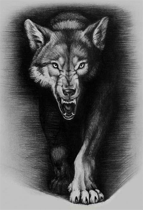 Dire Dark Color Wolf Walking Forward Tattoo Design Tattooimages Biz