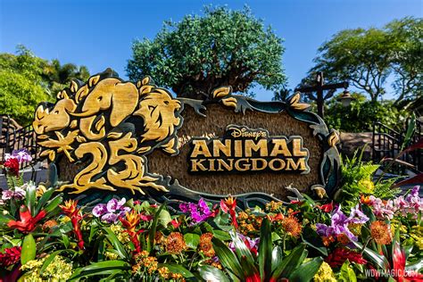 Disney S Animal Kingdom