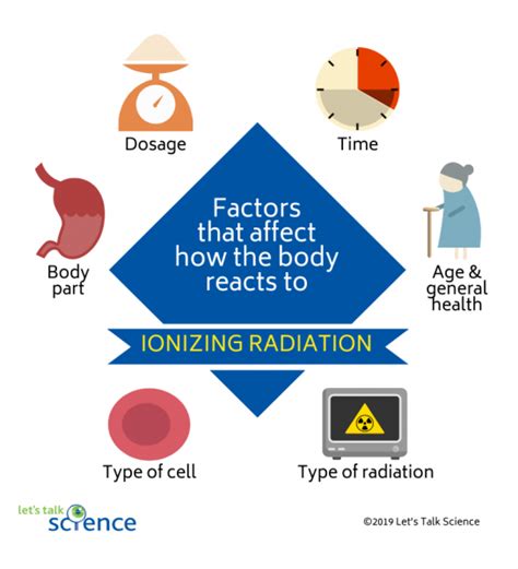 District Etap Extremi Tii How Radiation Affects The Human Body Pat Rena Tere Vr Jitor