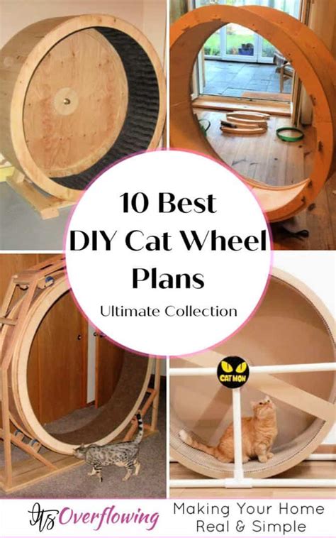 Diy Cat Treadmill Found On Google From Quora Com Cat Exercise Wheel