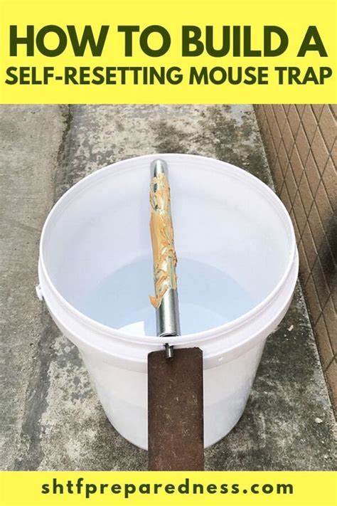 Diy Mouse Trap Bucket Myo Water Trap For Mice The Ultimate Bucket