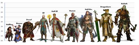 Dwarf Height in DND: How Tall Are They Really