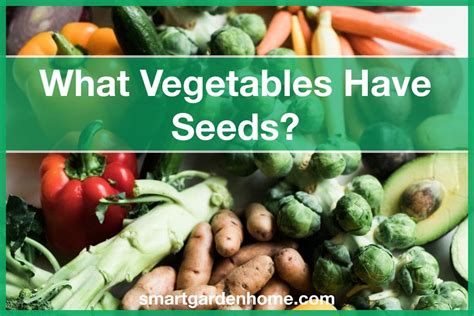 5 Veggies That Produce Seeds Inside