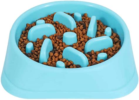 Slow Feeder Dog Bowls for Healthier Eating Habits