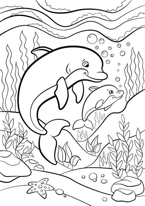 Dolphin Coloring Pages For Kids Free Pdf Printables