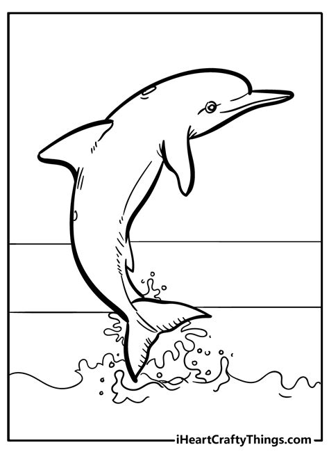 Dolphin Images For Colouring Infoupdate Org