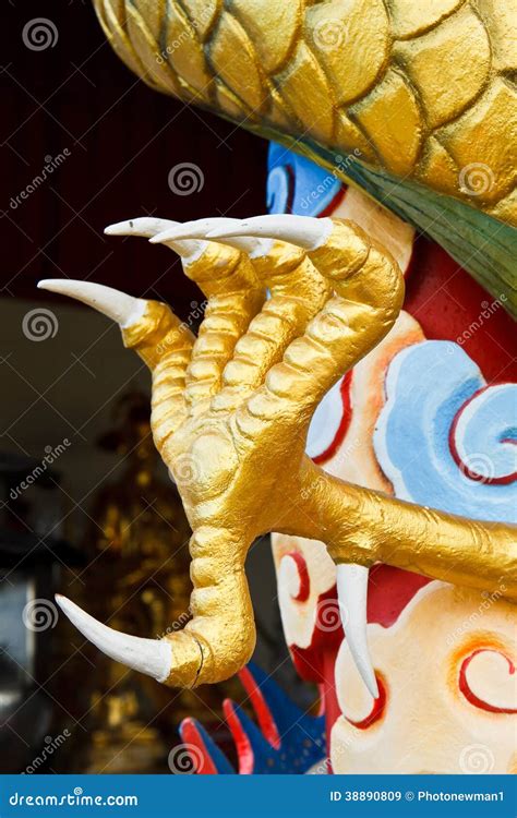 Dragon Claw Stock Image Image Of Creature Surface 38890809