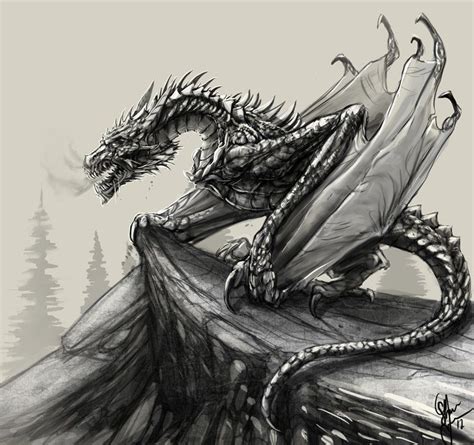 Dragon Dragon Pictures Dragon Artwork Dragon Drawing