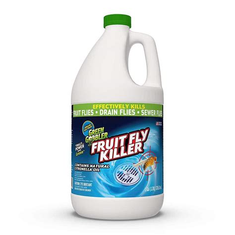 7 Best Drain Fly Killers at Home Depot