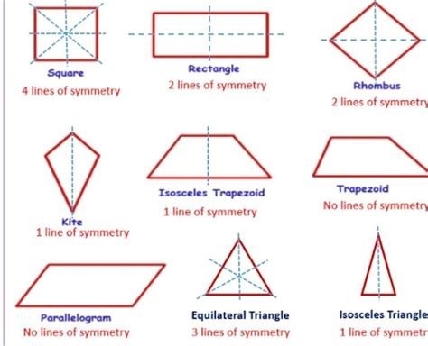 Draw The Lines Of Symmetry For Square Rectangle And Equilateral