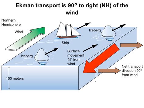 5 Ways Drifting Sheets of Ice Shape Our Planet