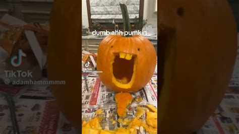 Dumb Ahh Pumpkin Youtube