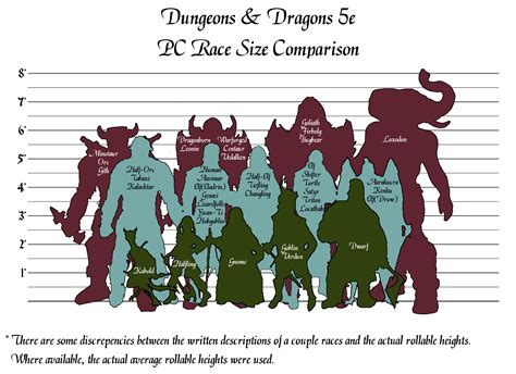 Dungeons Dragons 5E Pc Race Size Comparison Dnd Dungeons And