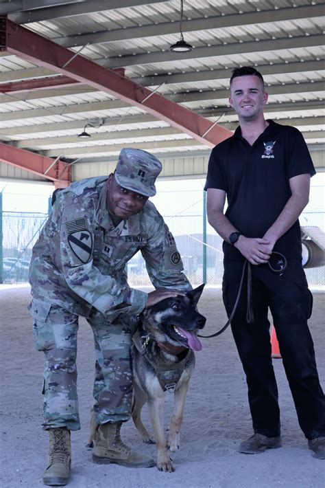 Dvids Images Military Working Dog And Handler Receive Arcom August