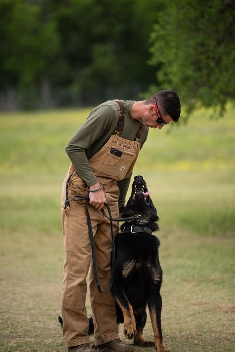 Dvids Images Military Working Dogs With Veteran And Active Handlers