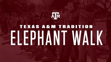 Elephant Walk Tamu 2024