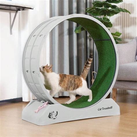 Endless Fun Cat Treadmill Plastic Running Wheel Toy Encourages Exercise Amp Entertainment For