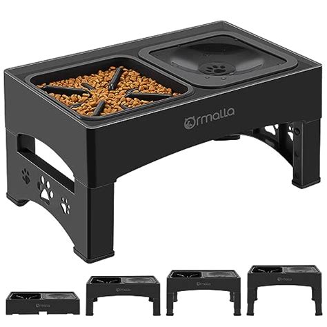 Enhance Mealtime Experience With Adjustable Elevated Slow Feeders