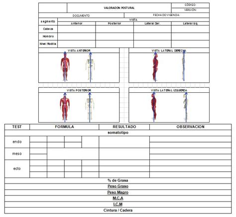 Entrenamiento Personalizado Estructura De Entrenamiento