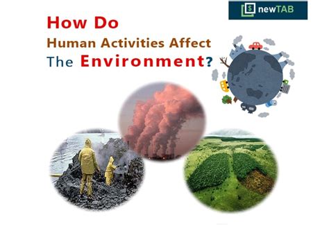 Environmental Impact Of Human Activities