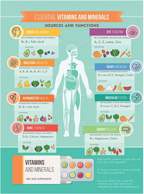 Essential Vitamins And Minerals Map Infographic