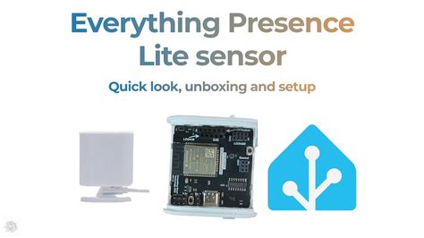 Everything Presence Lite Review