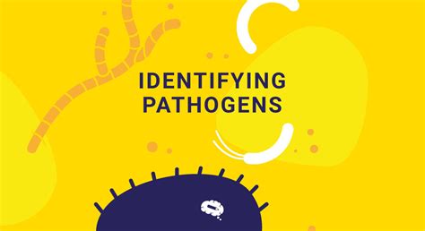 Explore The Different Methods For Identifying Pathogens