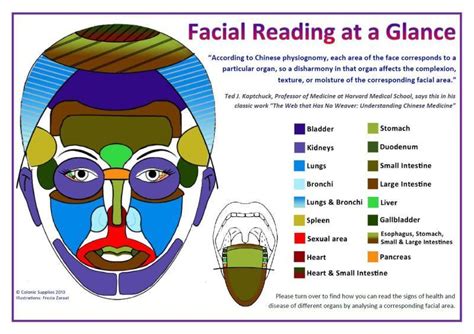 Facial Reading Double Sided Laminated Chart A4 A3