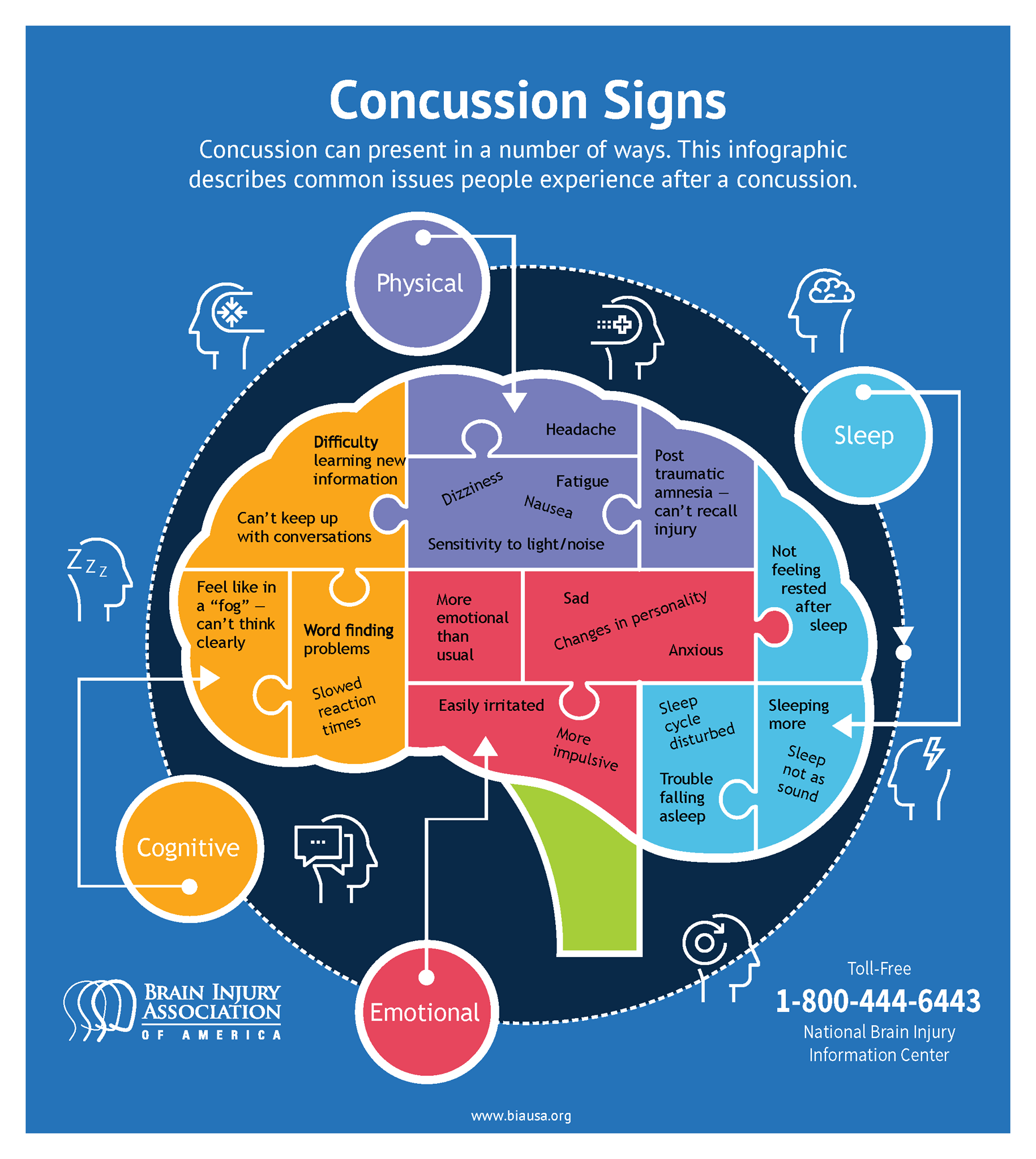 Facts About Concussion And Brain Injury Facts About Concussion And