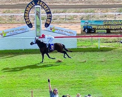 Falcon Island Caps Dynamic Day With Track Record Coonamble Cup Win