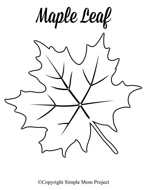 Free Fall Leaf Template Printable for Kids and Adults