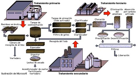 Fases Del Tratamiento De Aguas Residuales Un Recorrido Detallado Por