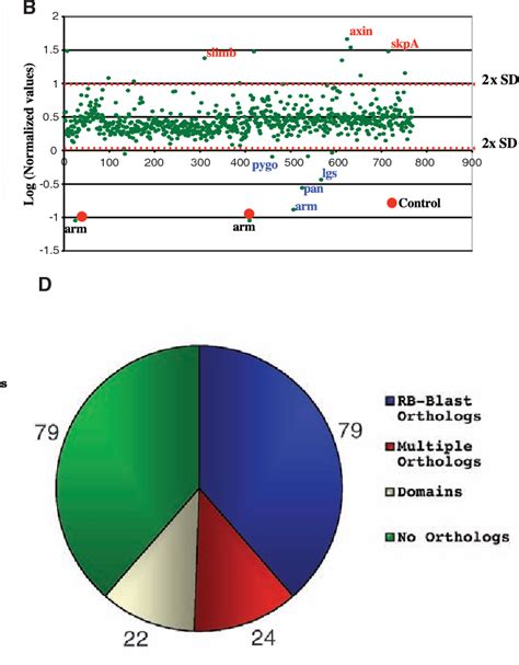 Figure 2 From Functional Genomic Analysis Of The Wntwingless Wntwingless Wntwingless Signaling