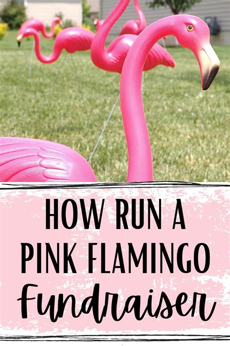 Flocking Fun Flamingo Fundraiser Pta Fundraising Flamingo Flocking