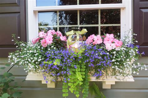 Flower Box Ideas For Summer