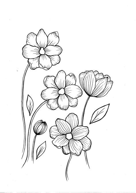 Flower Coloring Page Pdf 232 Popular Svg File