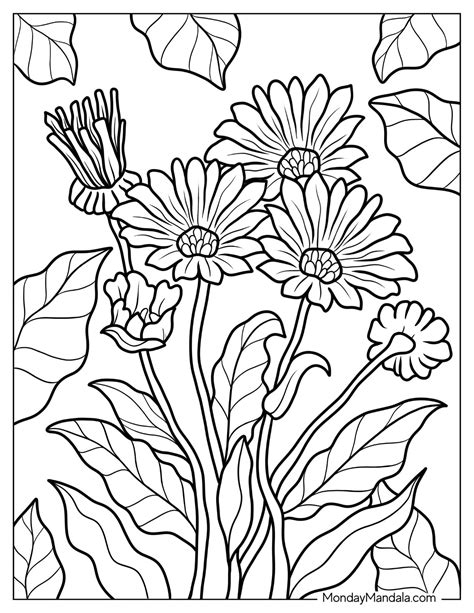 Flower Coloring Pages Pdf