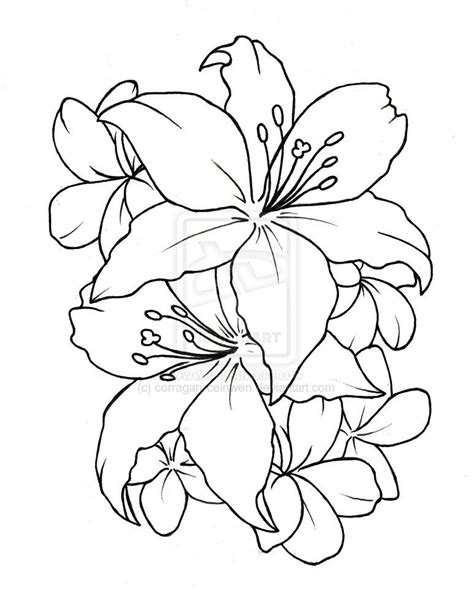 Flower Outline Tattoo Designs for Delicate Beauty