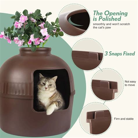 5 Tips for a Flower Pot Litter Box