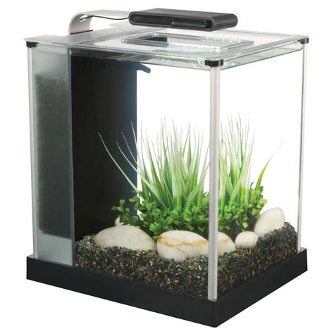 5 Essential Fluval Aquarium Specs to Know