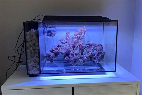 Fluval Evo 13 5 Gallon Review Best Saltwater Aquarium Kit