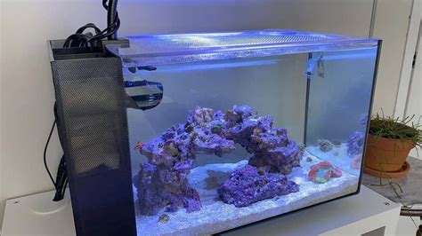 Fluval Evo 13 5 Lid