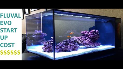 Fluval Evo 13 5 Reef Tank Aquariumia