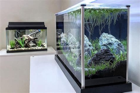 Fluval Spec V Aquarium Review