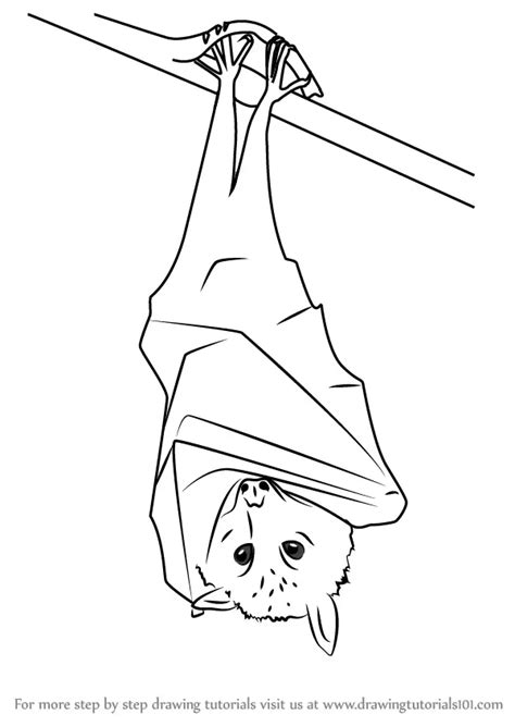 5 Easy Steps to Draw a Flying Fox