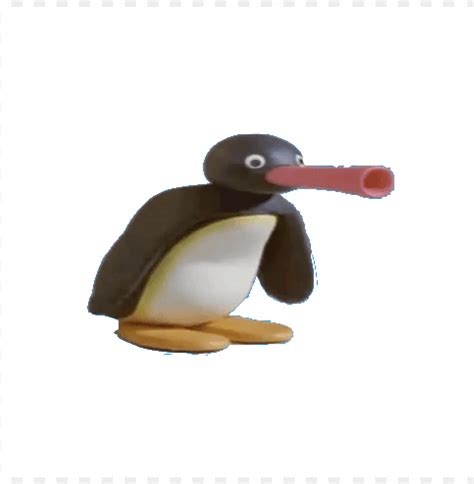 Former Dictator Pingu Of Noot Island Pingu Noot Noot Png Transparent With Clear Background Id