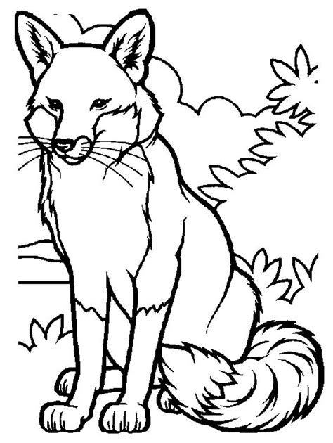 Fox To Color For Children Fox Coloring Pages For Kids