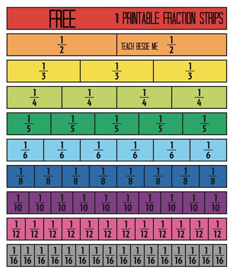 Fraction Strips