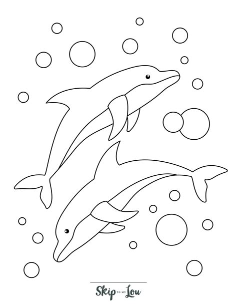 Free Dolphin Coloring Page Download Print Or Color Online For Free